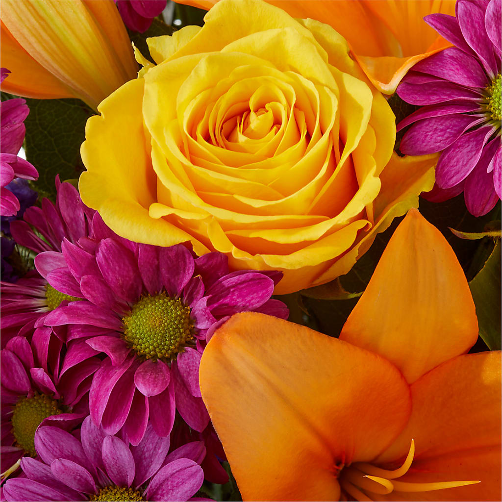 Colorful Visions Bouquet –  Mulberry Florist And Gift Shop, Elizabethtown KY