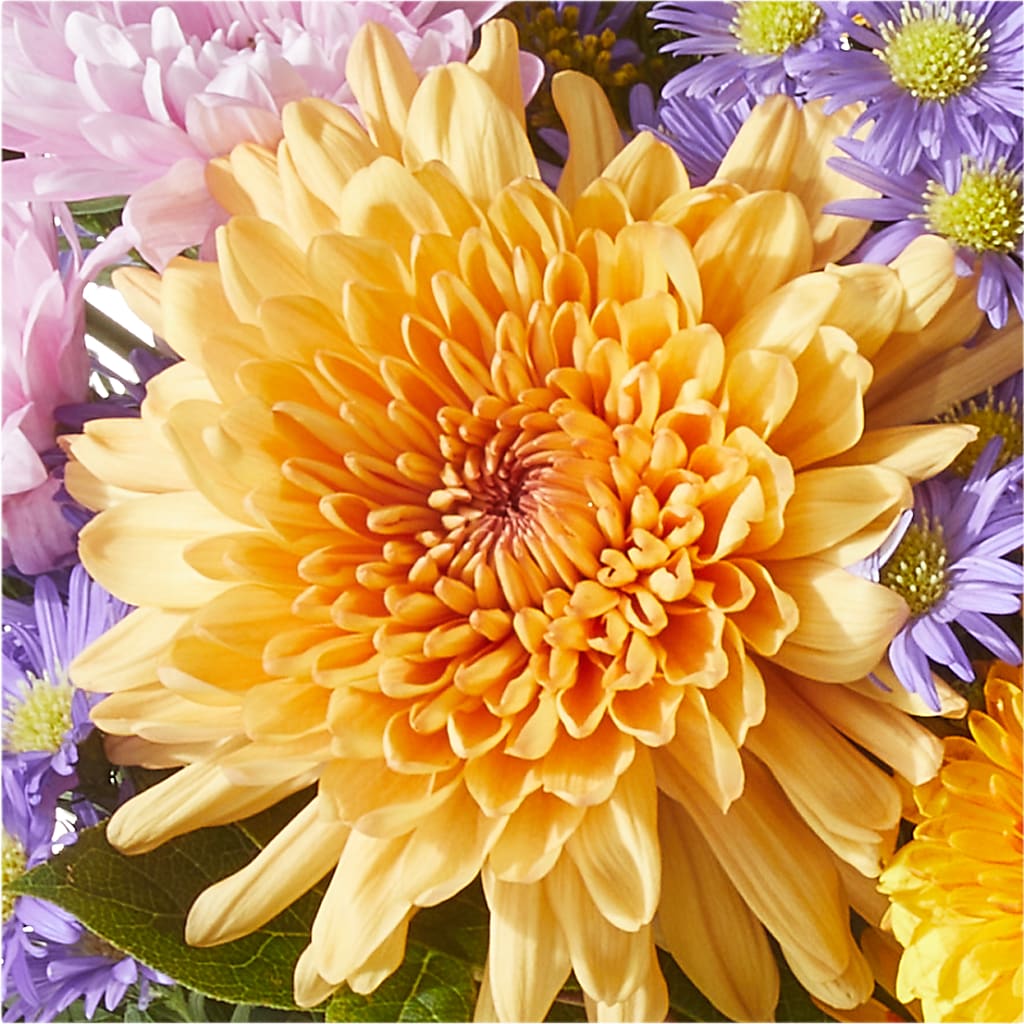 Countryside Bouquet –  Mulberry Florist And Gift Shop, Elizabethtown KY