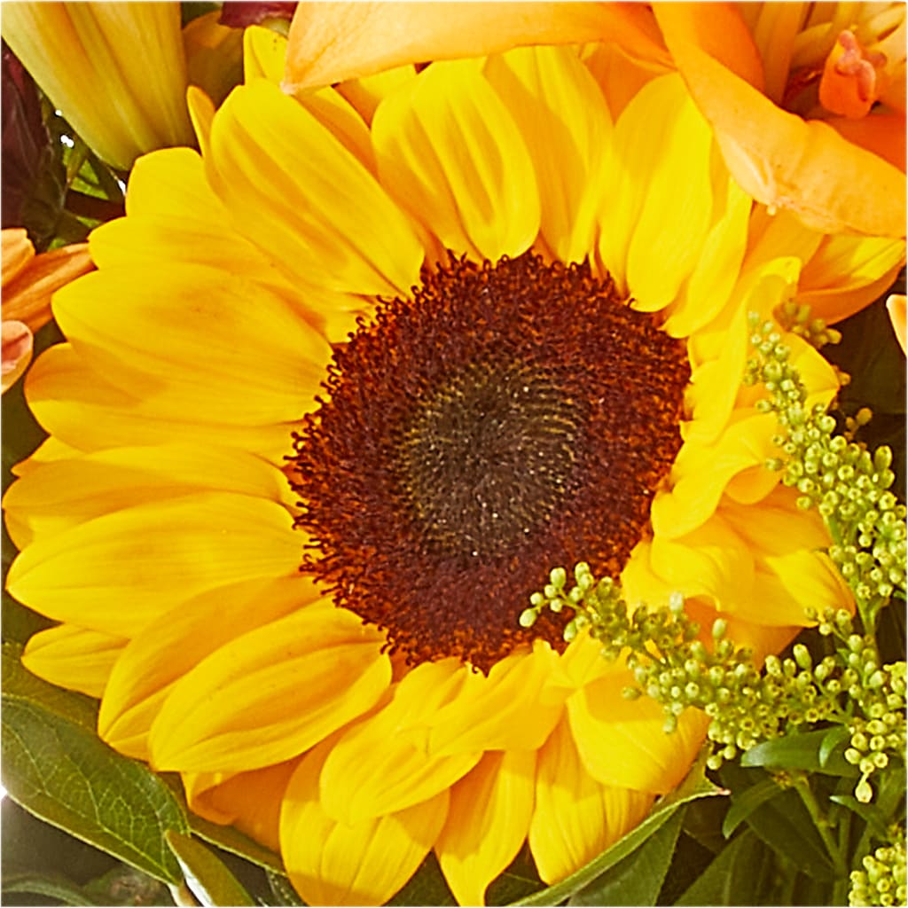 Seasons Change Bouquet –  Mulberry Florist And Gift Shop, Elizabethtown KY