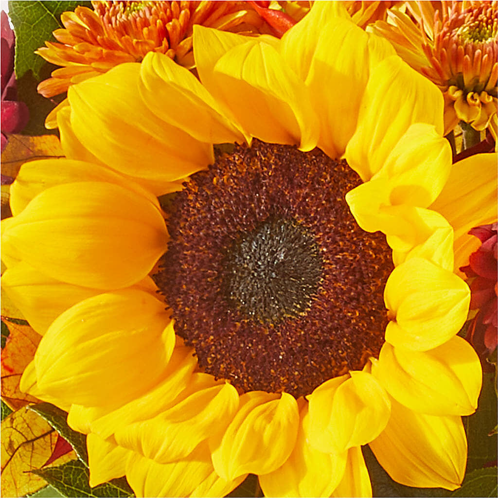 Sunny Side Bouquet –  Mulberry Florist And Gift Shop, Elizabethtown KY