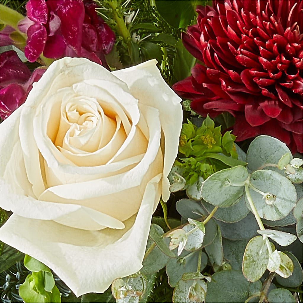 Cranberry Fizz Bouquet –  Mulberry Florist And Gift Shop, Elizabethtown KY