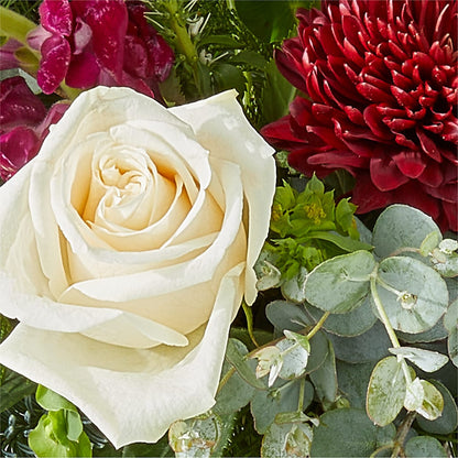 Cranberry Fizz Bouquet –  Mulberry Florist And Gift Shop, Elizabethtown KY