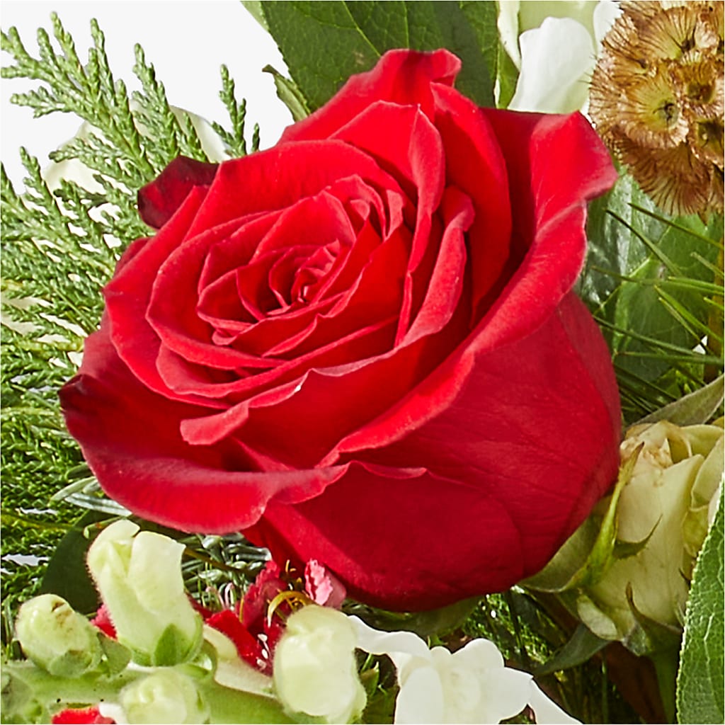 Deck the Halls Bouquet –  Mulberry Florist And Gift Shop, Elizabethtown KY