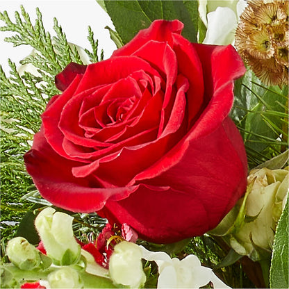 Deck the Halls Bouquet –  Mulberry Florist And Gift Shop, Elizabethtown KY