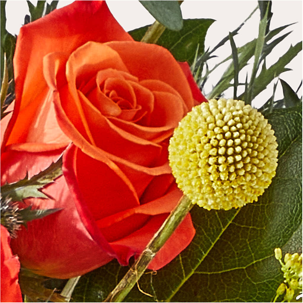 Disco Bouquet –  Mulberry Florist And Gift Shop, Elizabethtown KY
