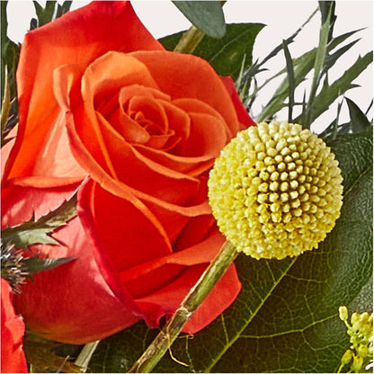Disco Bouquet –  Mulberry Florist And Gift Shop, Elizabethtown KY