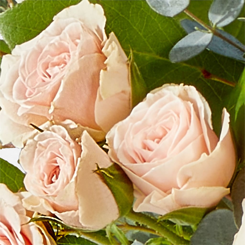 Inspired Bouquet –  Mulberry Florist And Gift Shop, Elizabethtown KY