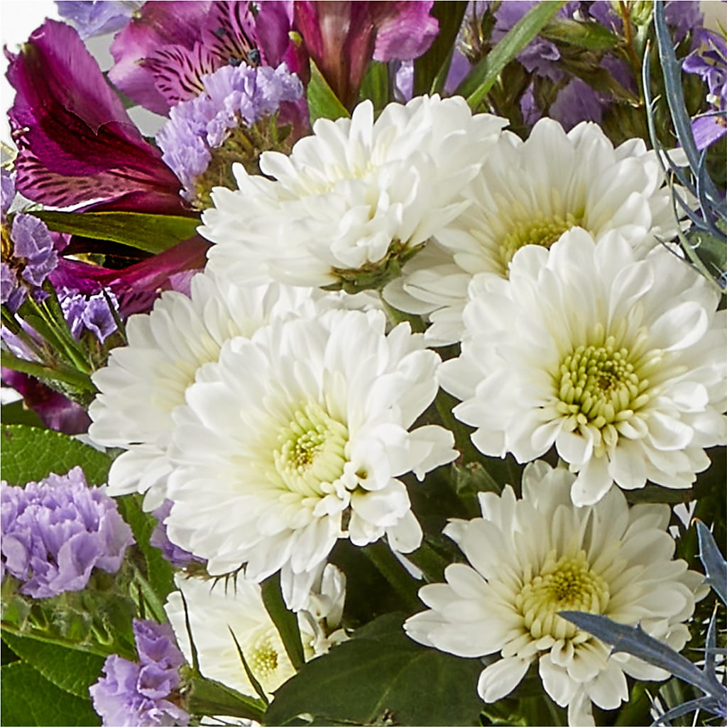 Shooting Star Bouquet –  Mulberry Florist And Gift Shop, Elizabethtown KY