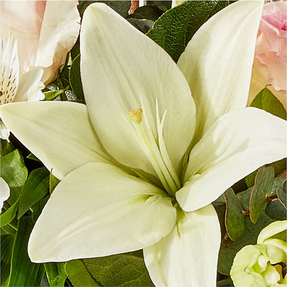 Ballet Slippers Bouquet –  Mulberry Florist And Gift Shop, Elizabethtown KY