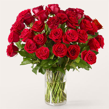 The One Red Rose Bouquet –  Mulberry Florist And Gift Shop, Elizabethtown KY