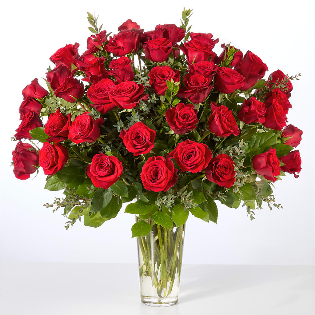Forever Yours Fifty Stem Red Rose Bouquet –  Mulberry Florist And Gift Shop, Elizabethtown KY