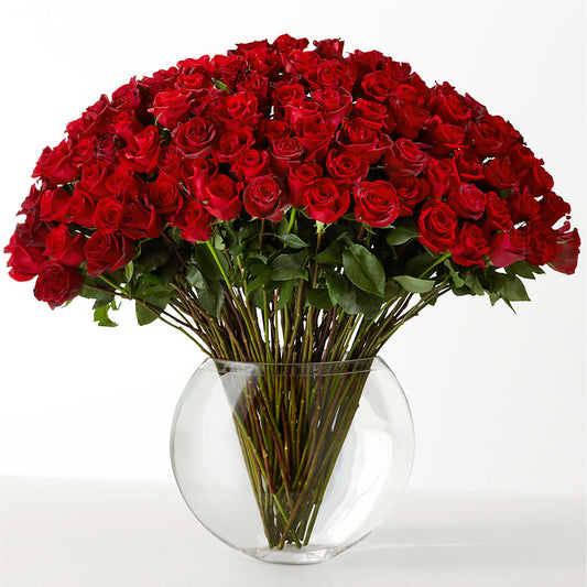 The Idealist –  Mulberry Florist And Gift Shop, Elizabethtown KY
