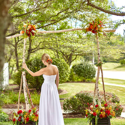 Arbor of Love Archway –  Mulberry Florist And Gift Shop, Elizabethtown KY