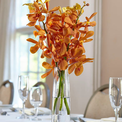 Orange Mokara Bud Vase –  Mulberry Florist And Gift Shop, Elizabethtown KY