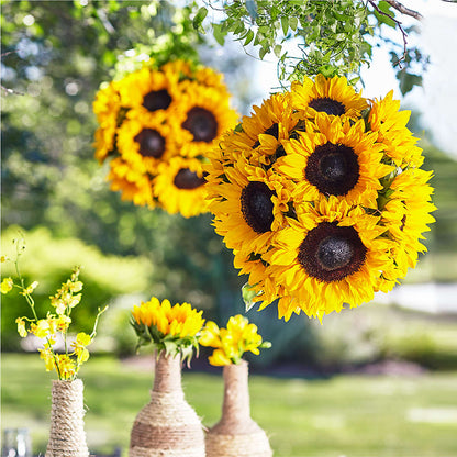Sublime Garden Hanging Arrangement –  Mulberry Florist And Gift Shop, Elizabethtown KY