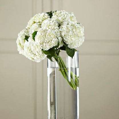 White Hydrangea Hand-Tied Bouquet –  Mulberry Florist And Gift Shop, Elizabethtown KY