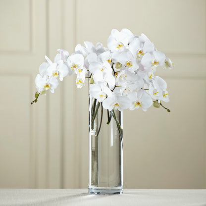 White Phalaenopsis Bouquet –  Mulberry Florist And Gift Shop, Elizabethtown KY
