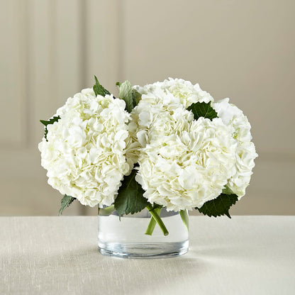 White Hydrangea Bouquet –  Mulberry Florist And Gift Shop, Elizabethtown KY