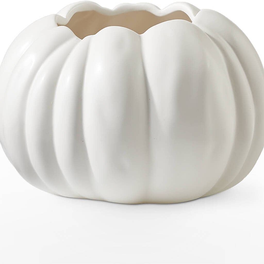 Autumn Air Pumpkin Bouquet –  Mulberry Florist And Gift Shop, Elizabethtown KY